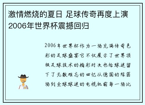 激情燃烧的夏日 足球传奇再度上演 2006年世界杯震撼回归