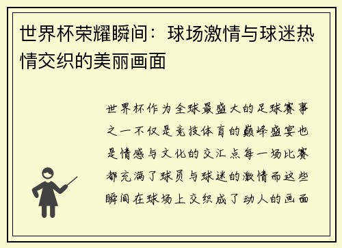 世界杯荣耀瞬间：球场激情与球迷热情交织的美丽画面